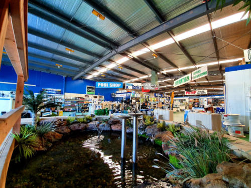 57253324_2023295217979065_6717342848242417664_n